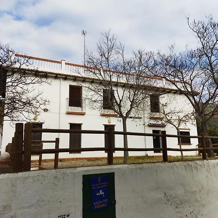 Casa Bienvenida - Carcaixent Bed and Breakfast Εξωτερικό φωτογραφία