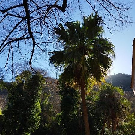 Casa Bienvenida - Carcaixent Bed and Breakfast Εξωτερικό φωτογραφία