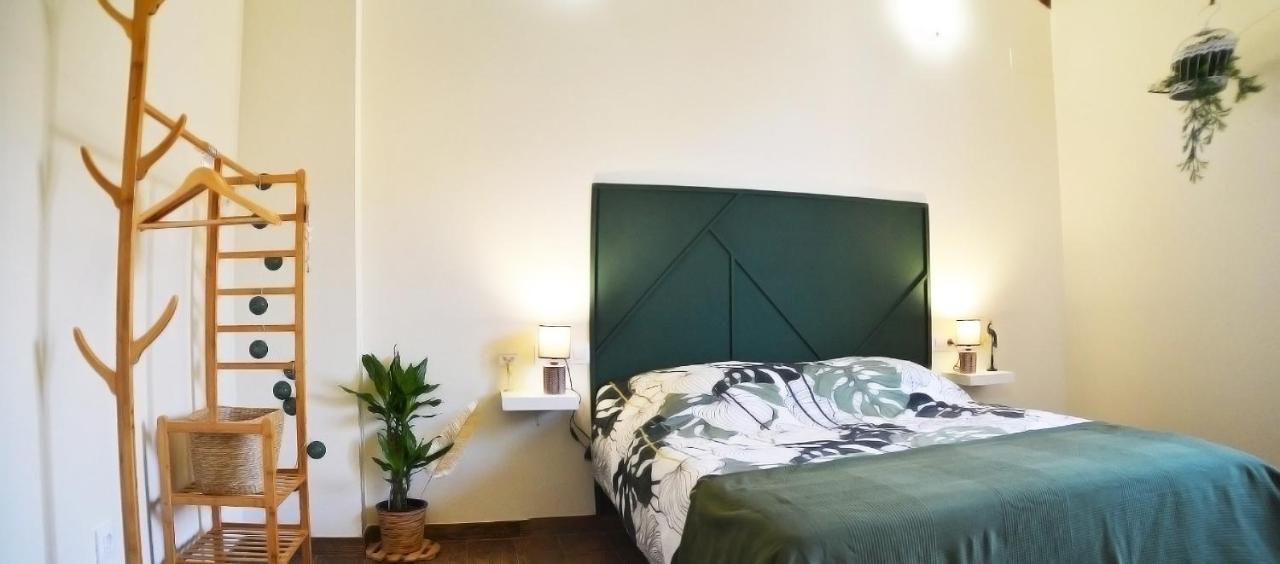 Casa Bienvenida - Carcaixent Bed and Breakfast Εξωτερικό φωτογραφία