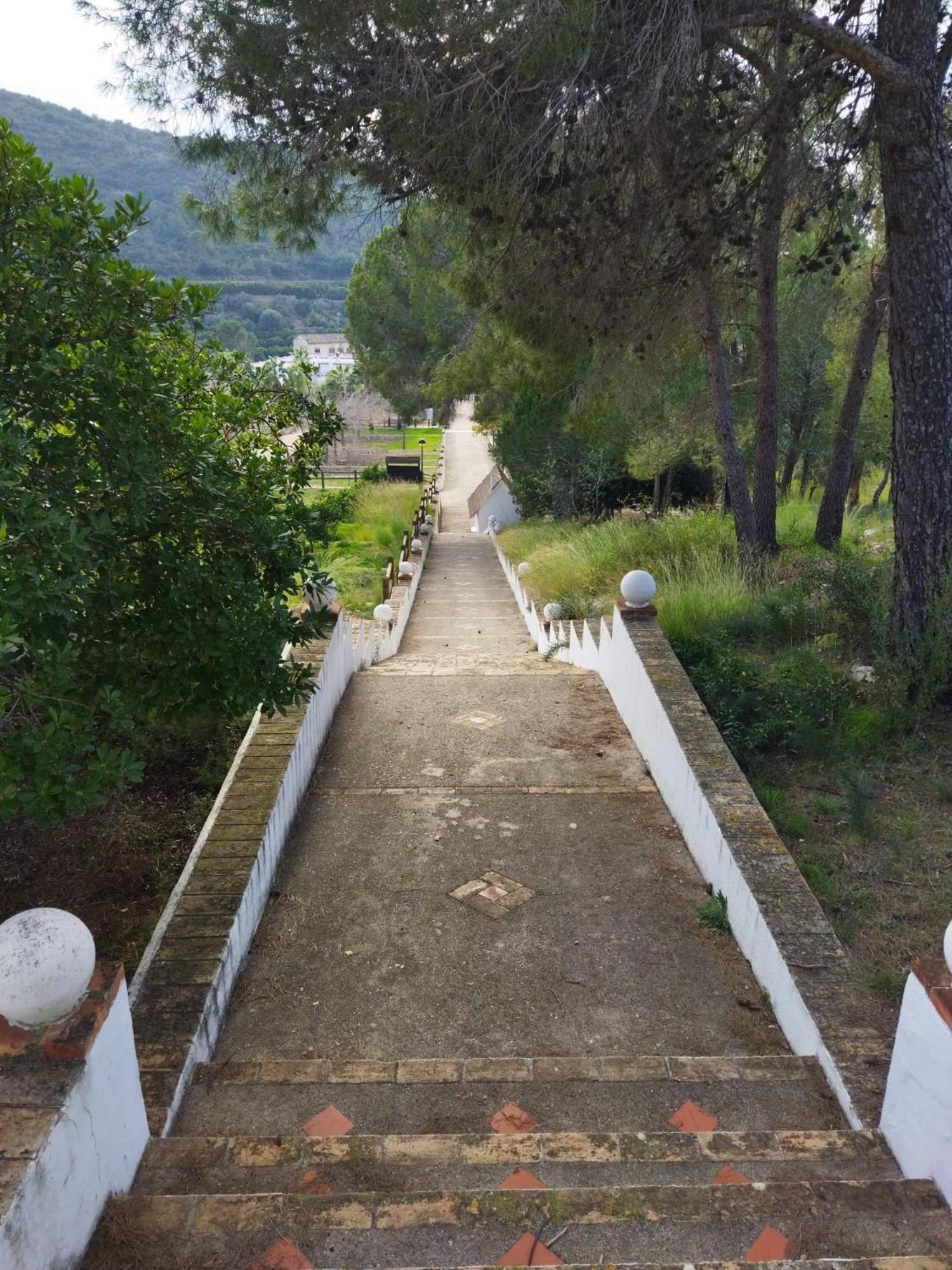 Casa Bienvenida - Carcaixent Bed and Breakfast Εξωτερικό φωτογραφία