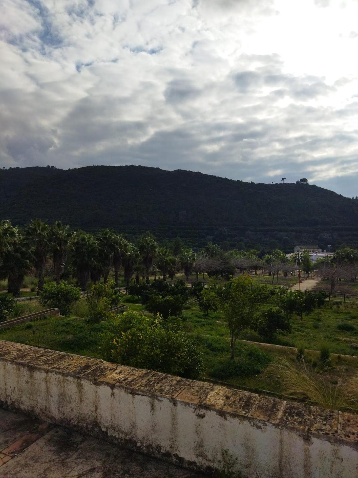 Casa Bienvenida - Carcaixent Bed and Breakfast Εξωτερικό φωτογραφία