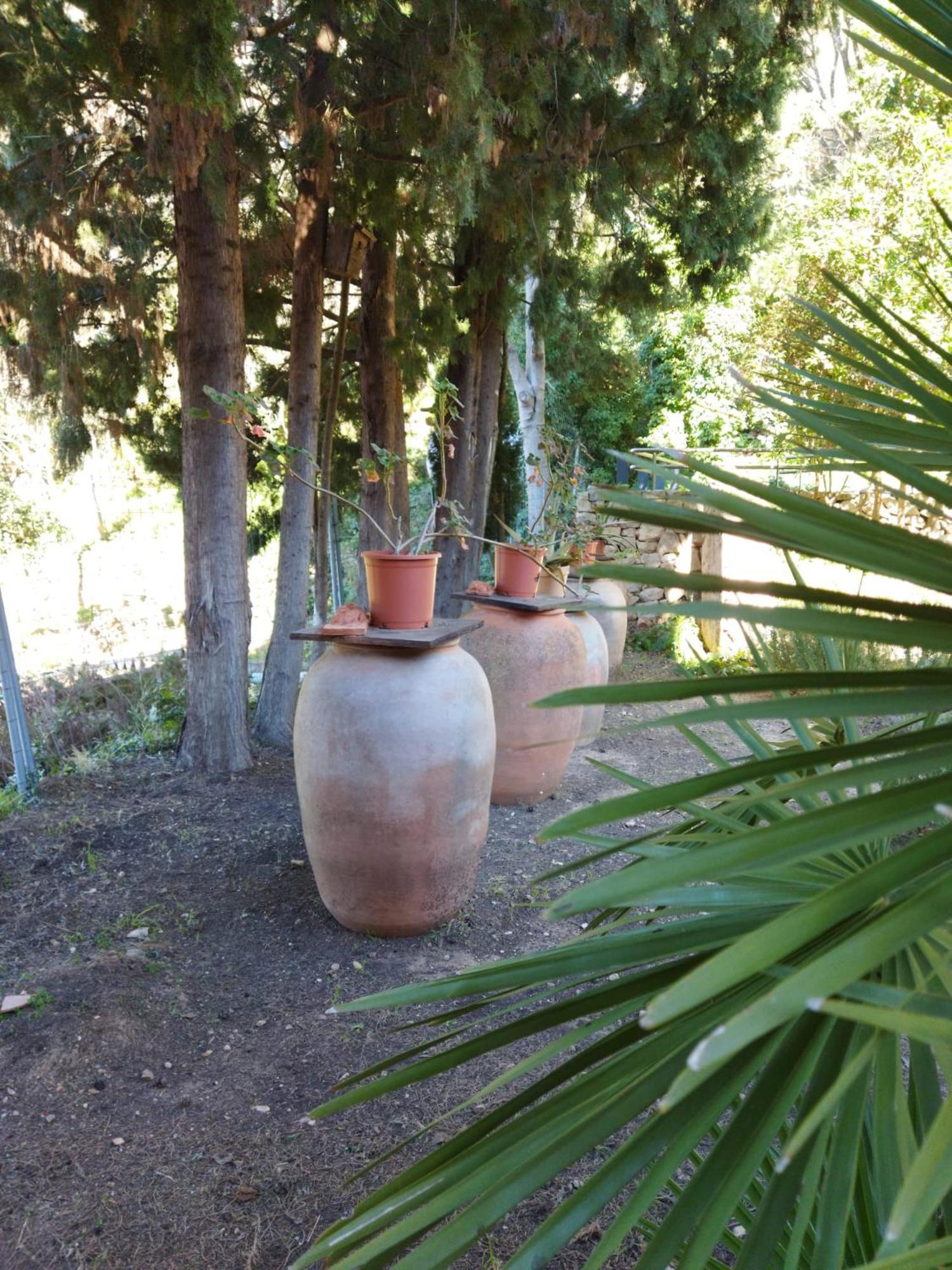 Casa Bienvenida - Carcaixent Bed and Breakfast Εξωτερικό φωτογραφία