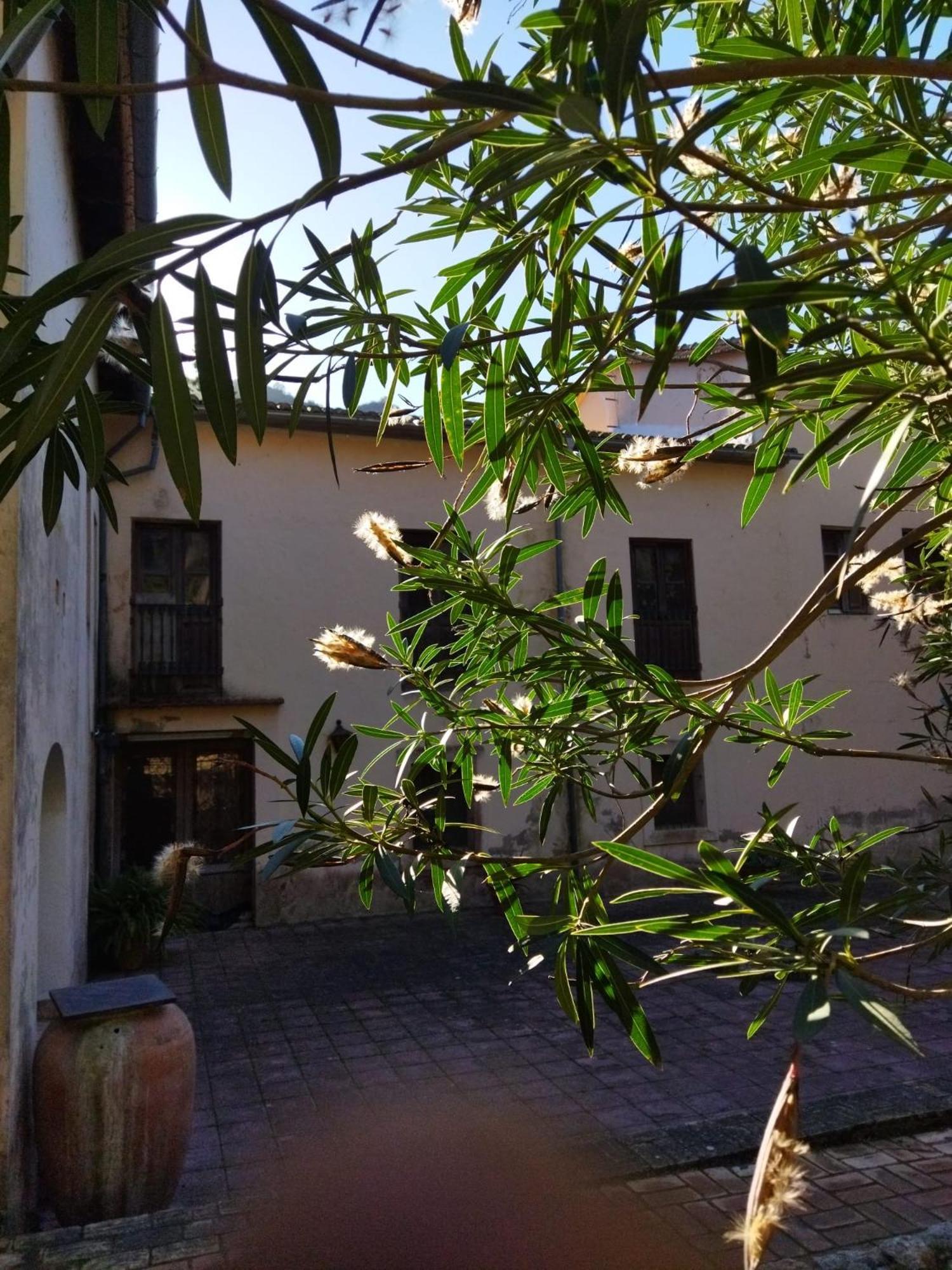 Casa Bienvenida - Carcaixent Bed and Breakfast Εξωτερικό φωτογραφία