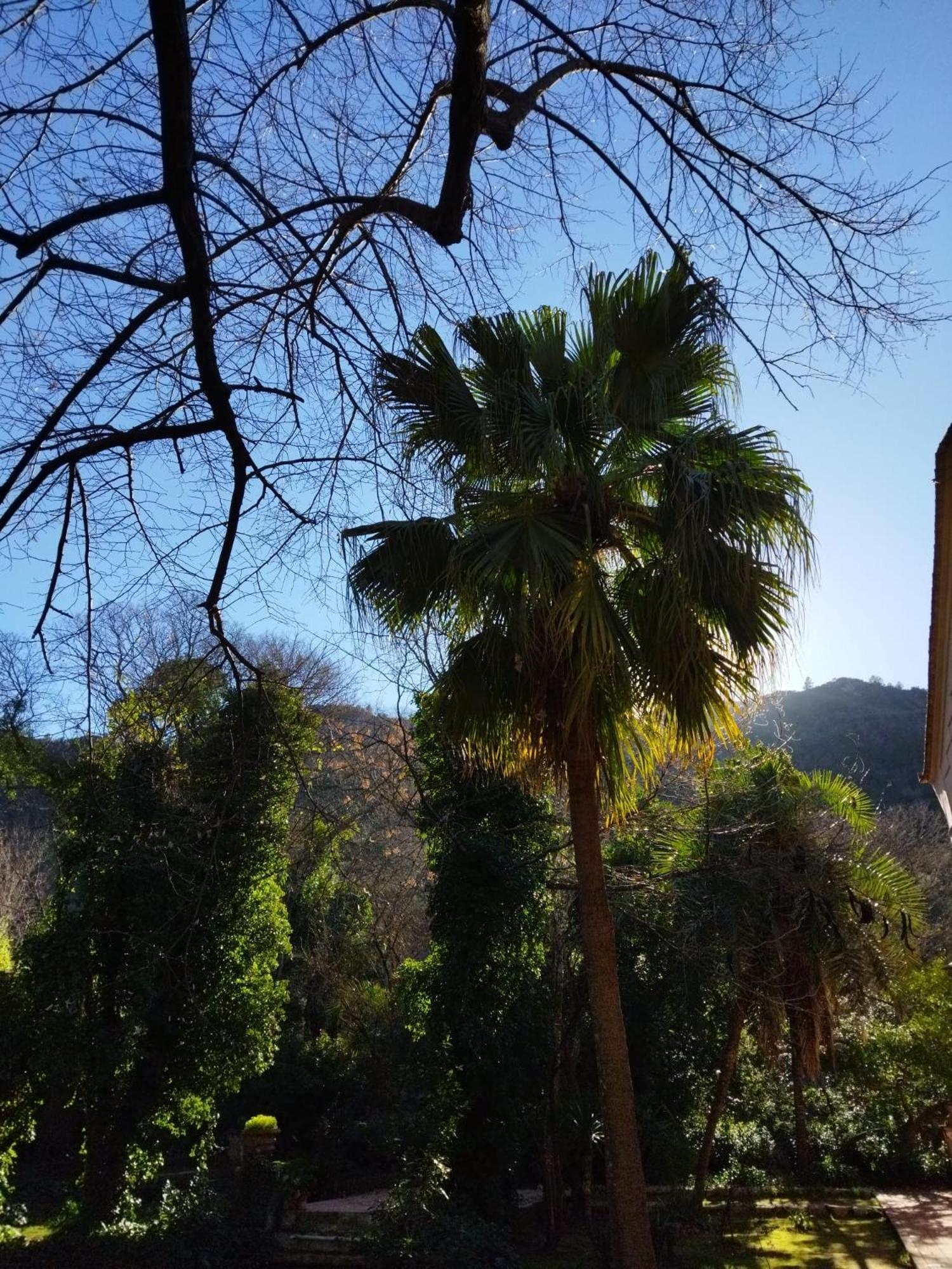 Casa Bienvenida - Carcaixent Bed and Breakfast Εξωτερικό φωτογραφία